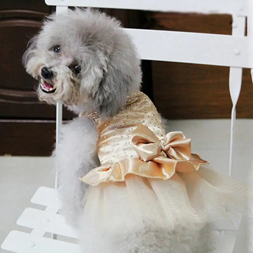 Luxury Princess Wedding Dog Dresses for Small Dogs Sequin Shirt Summer Spring Dress Dog Clothes for Chihuahua Girl Puppy Apparel