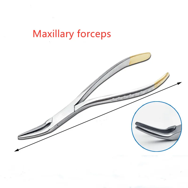 Dental Root Fragment Minimally Invasive Tooth Extraction Forcep Tooth Pliers Curved Maxillary Mandibular Teeth Dental Instrument