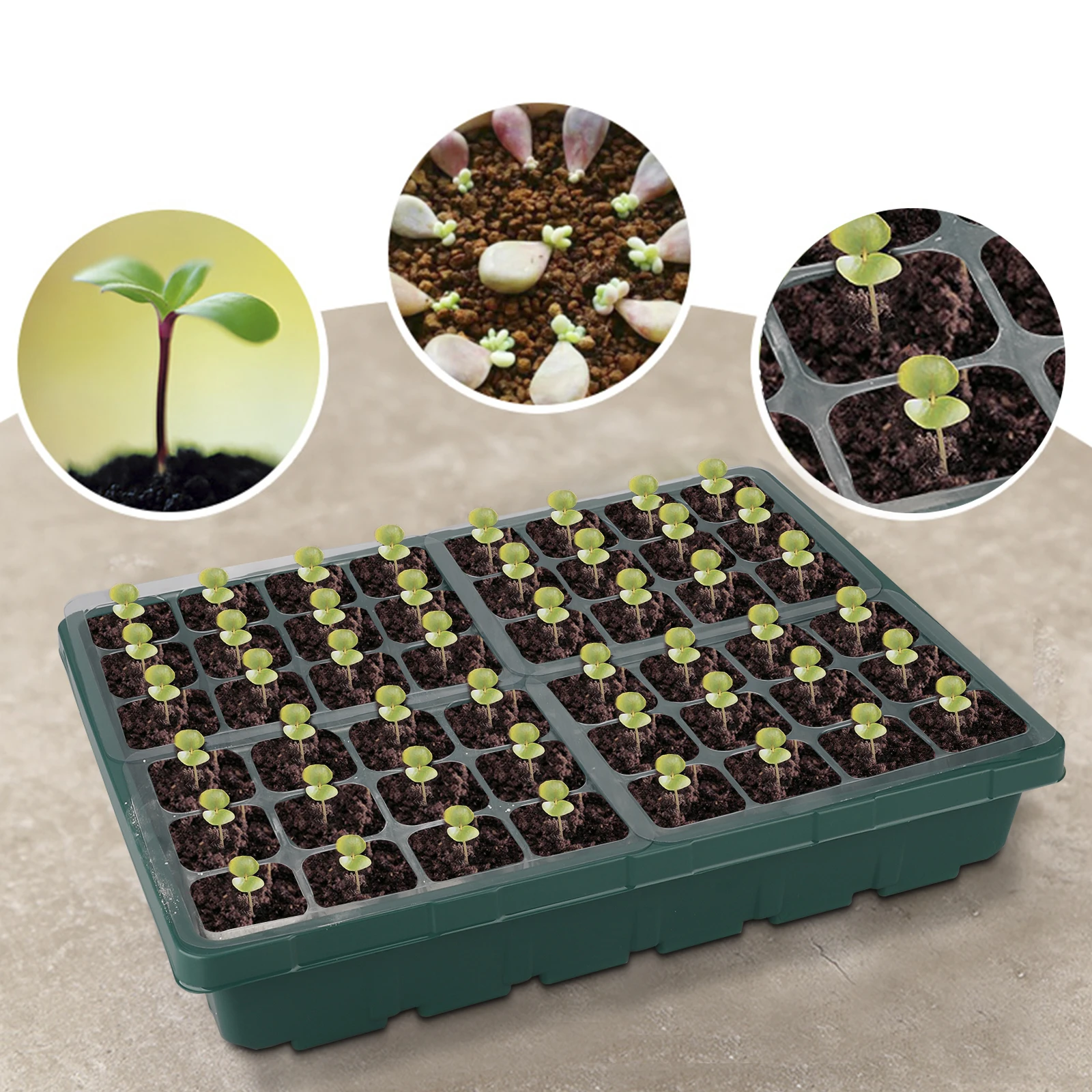 Garden Plant Pot Organic Seedling Pots Plant Pot Greenhouse Supply Peat Pots Tray Tray Peat Greenhouse Supply Seedling Tray Tray