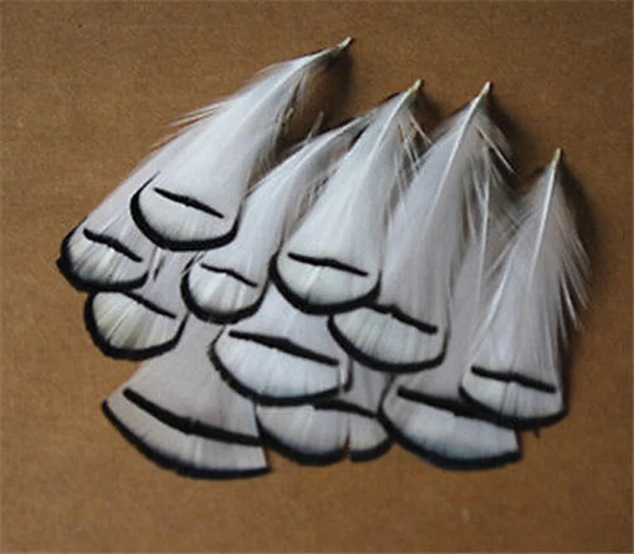 20Pcs/lot Natural Pheasant Feathers for Crafts 4-8cm/1.6-3.2inch Wedding Feathers Decoration Feathers for Jewelry Making Plumas