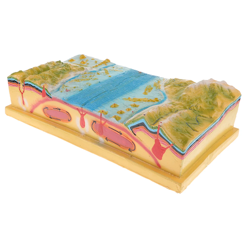 School Geology Class Teaching Aids - Plastic Plate Tectonics Model Kit