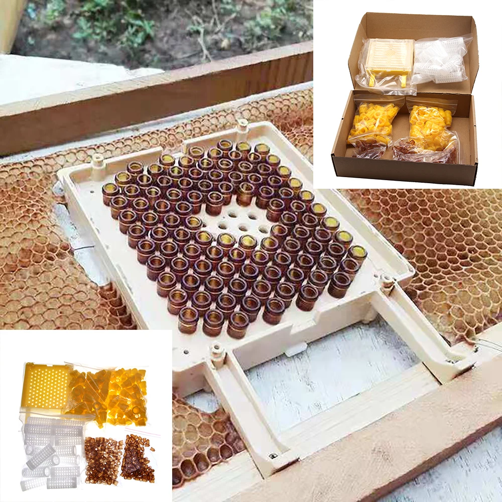 

1SET Apiculture Beekeeping Jenter Queen Rearing Incubation System Box Cage Holder Plastic Cell Cup Bees Tools Supplies