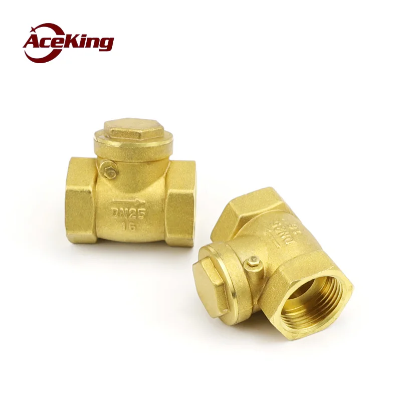 

PPR brass check valve water pipe gauge dn15/20/25 check valve 4/6 minute vertical horizontal check valve DN15 DN20 DN25 DN32