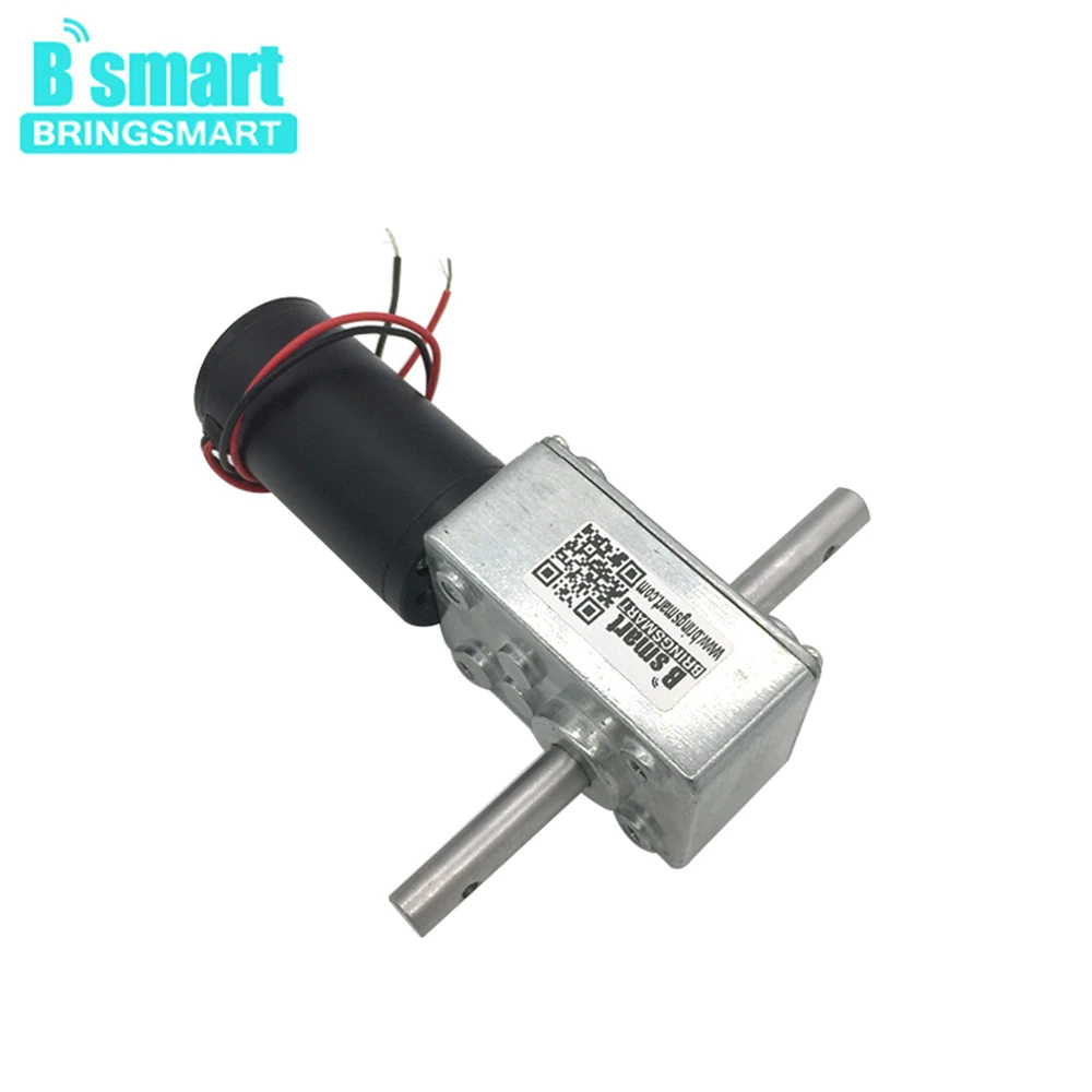 Bringsmart Double Shaft 33MM Length 5840-31zy DC 12V 24V Worm Gear Motor Self Lock 12-470RPM Reducer Gearbox Customized Motor