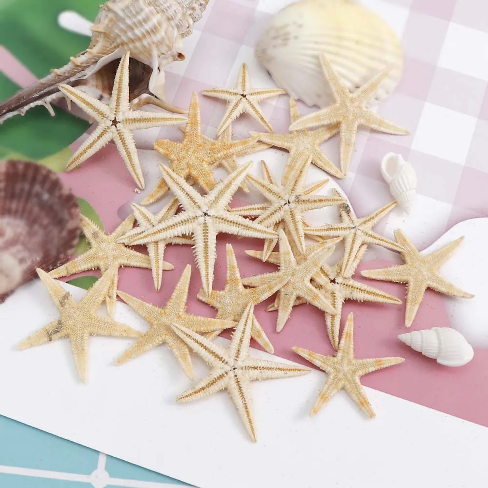 20PCS 1 Box Natural Starfish Seashell Beach Craft Natural Sea Stars DIY Beach Wedding Decoration Crafts Home Decor Epoxy 1-5cm