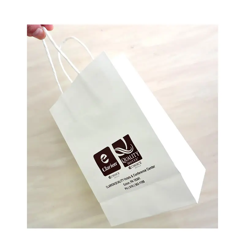 Kraft Paper Bags, Custom Printed, Recyclable, Shopping Gift, 21x27x11cm