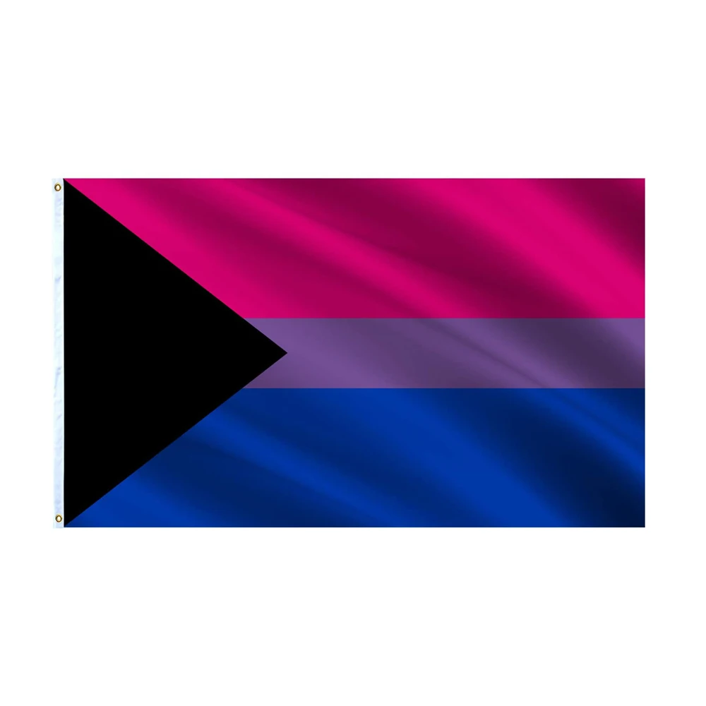 3x5 Ft Demibisexual Flag Demisexual Bisexual Gay Pride Demi Sexual Biromantic LGBT Rainbow Flags