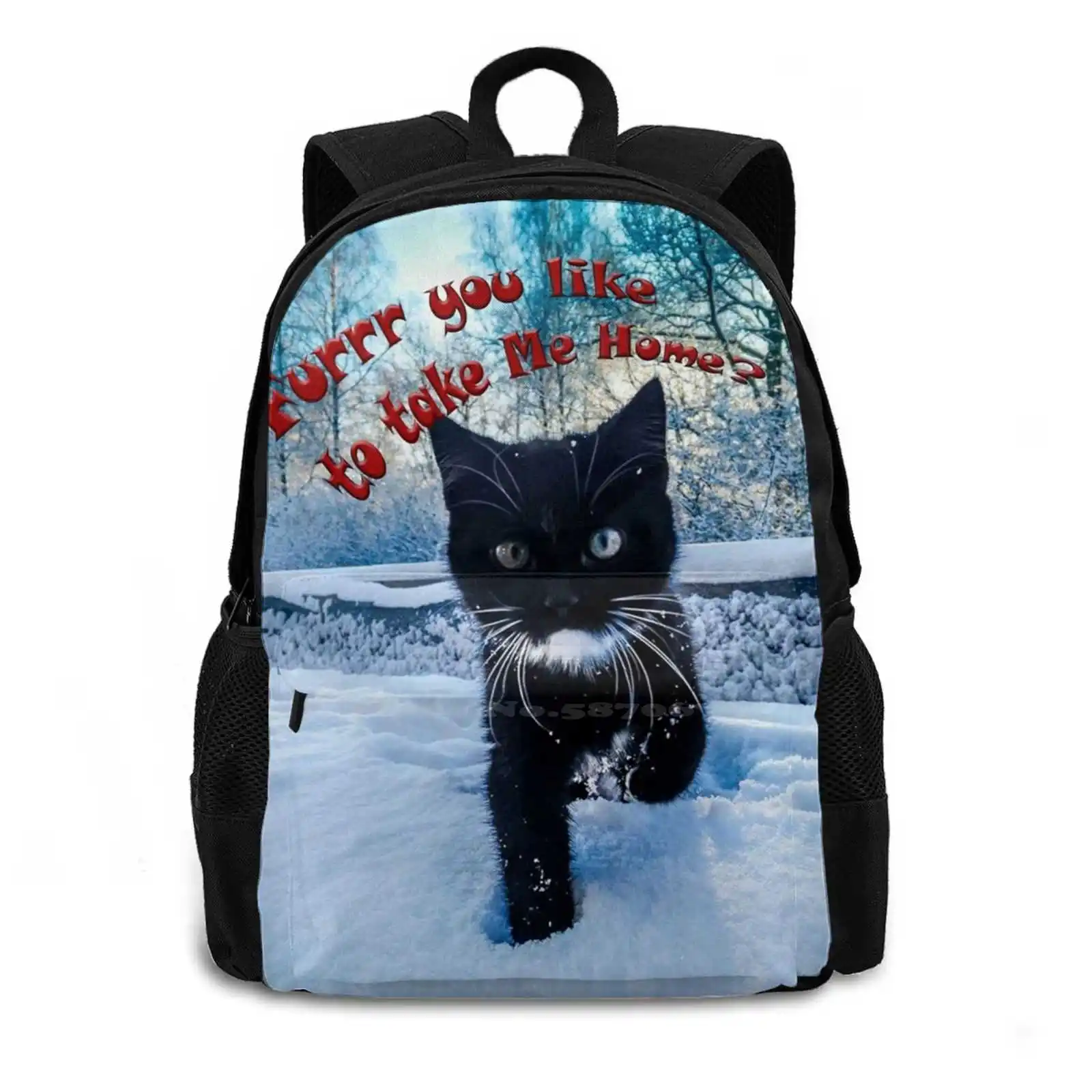 ?Would You Take Me Home ? ? ? School Bags Travel Laptop Backpack Little Cat Home Reception Adoption Snow Cute Cuckoo Purr