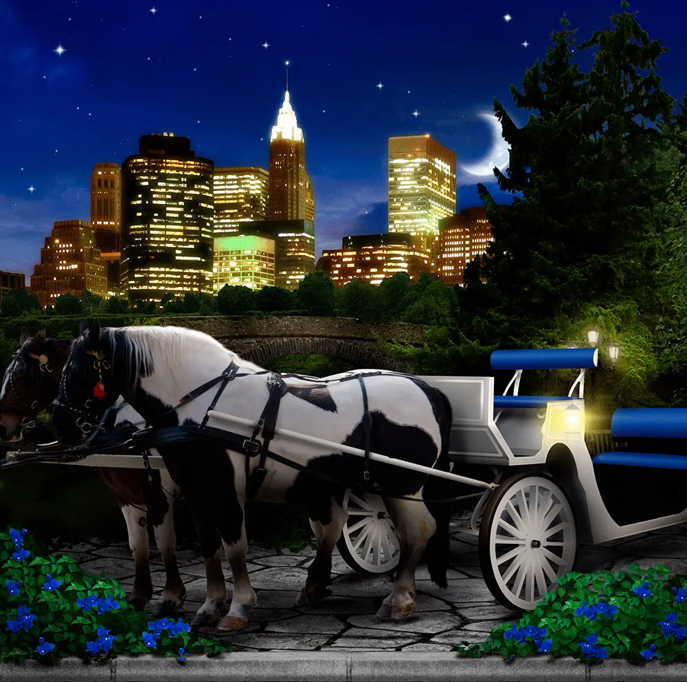 

Central Park New York City Horse Carriage Garden Bridal photo backdrop High quality Computer print wedding background