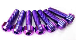 M5/10/15/20/25/30MM M6/10/15/20/25/30/35/40/50/55/60/80/90/100MM  round torx head  Titanium bolts in stock (one lot=10pcs)