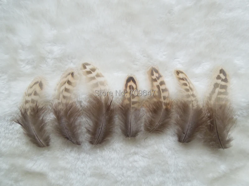 Plume Decoration!50pcs/Lot!5-8CM Nature Hen Ringneck Pheasant Body Plumage Feathers for Jewelry Making,Crafts,Feather Costume