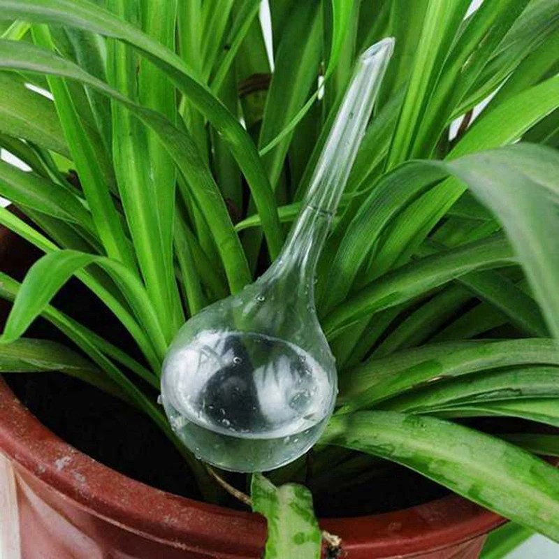 20 Pcs 40 Pcs lampadine per irrigazione per piante trasparenti globi autoirriganti sfere automatiche per acqua dispositivo per le vacanze lampadine per piante da appartamento