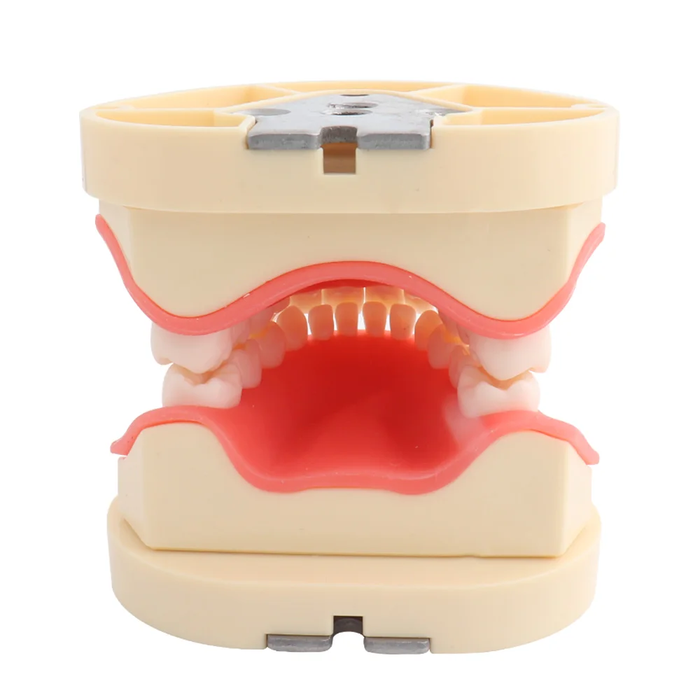 Modelo de dientes para niños, modelo Dental de enseñanza, demostración de estilo Frasaco, goma dura, 24 unidades