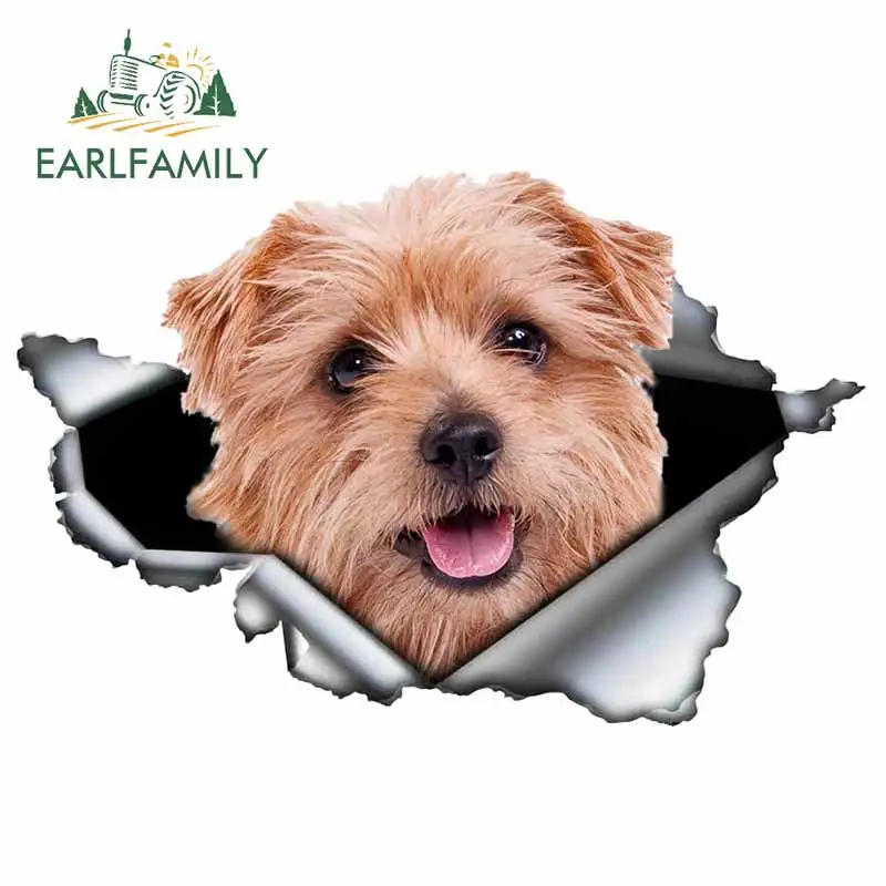 EARLFAMILY 3D Torn Metal Animal Car Sticker Original Design Vinyl Funny Support Custom Decal DIY Creative Dog Cat Bird Stickers