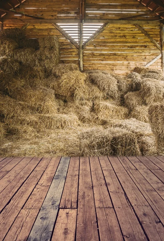 Laeacco Farm Warehouse Haystack Hay Interior Scene Photography Background Child Portrait Photographic Backdrops For Photo Studio