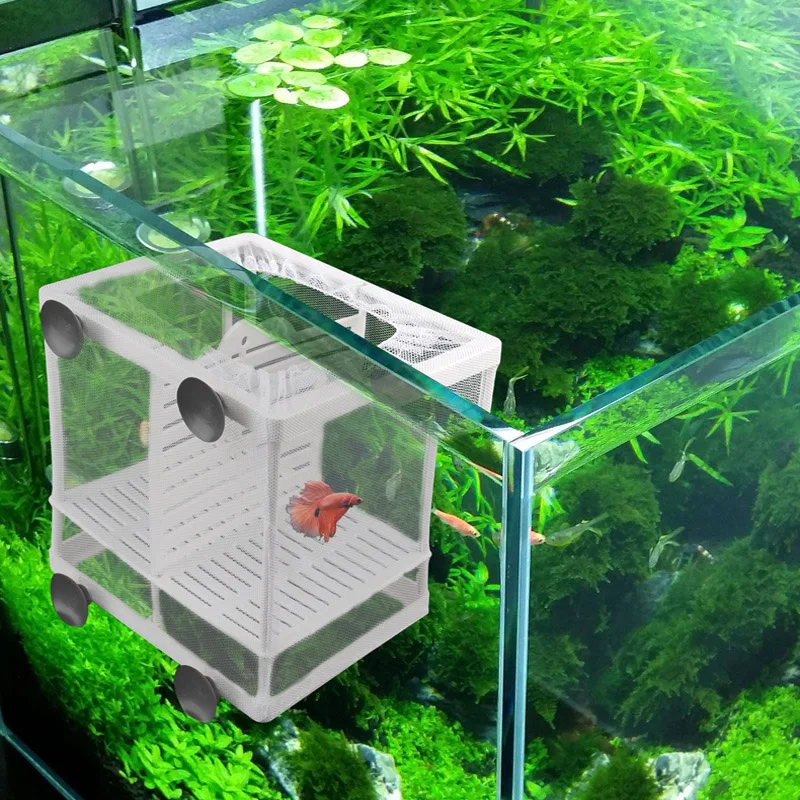 Aquarium Fish Breeding Isolation Mesh Box Net Incubator Breeder For Fish Tank Gauze Trap S/L Aquarium Accessories