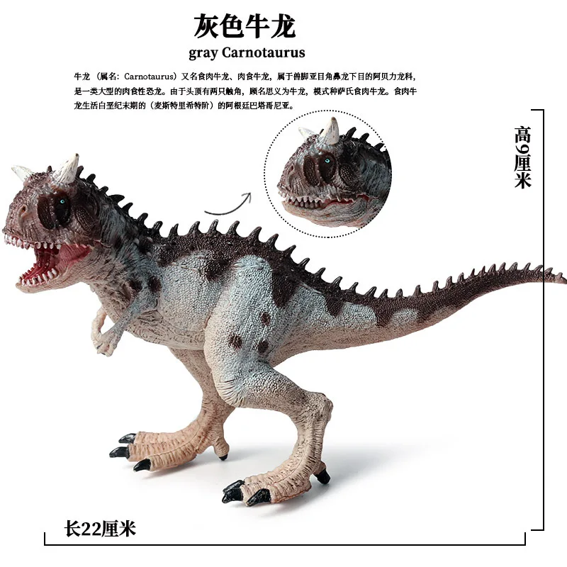 Novel and Funny Toys A Movable Solid Plastic Model Mandible of Taurosaurus Carnivorus in Jurassic Children Dinosaur Gift