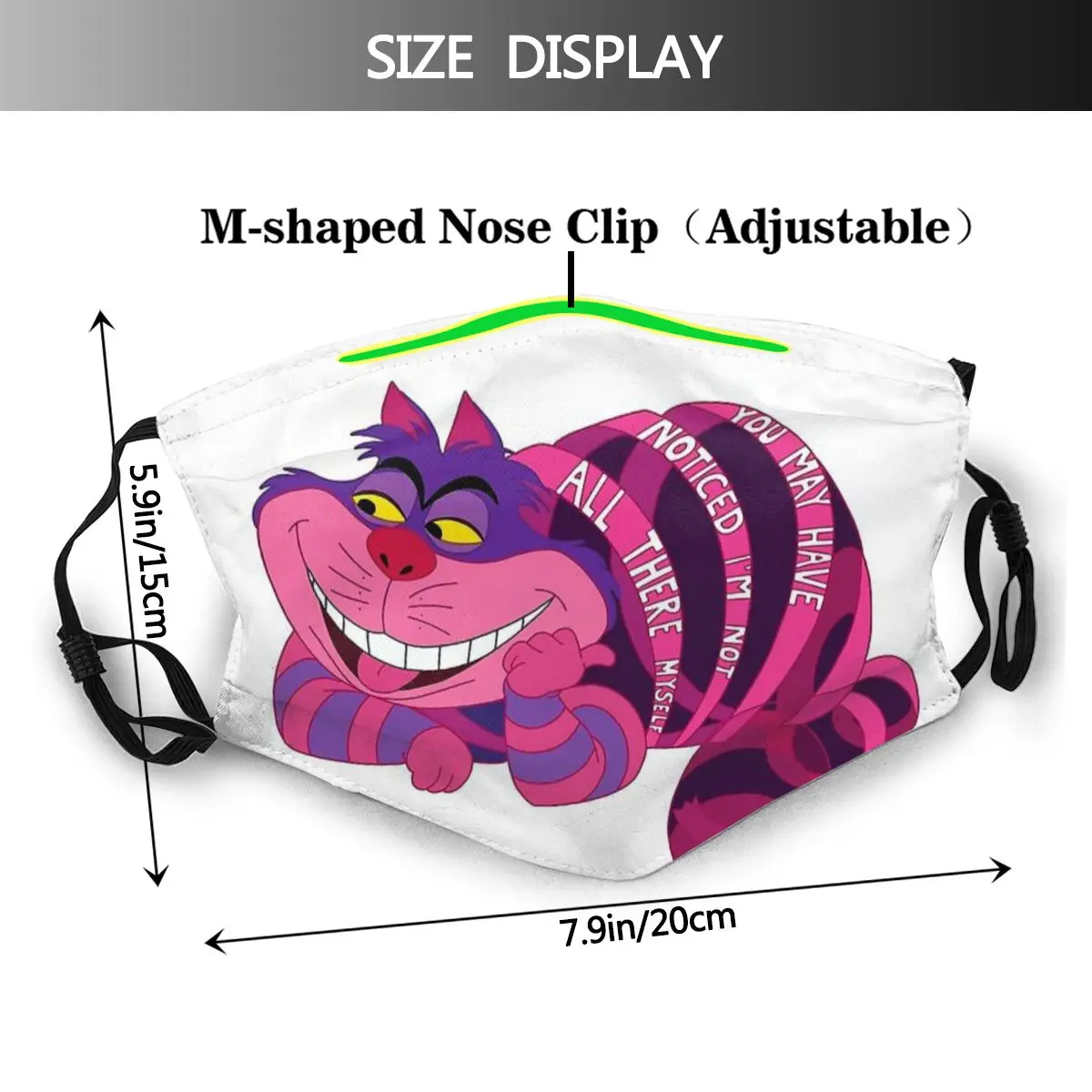 Red Tabby Exotic Shorthair Cat Art Face Mask Cheshire Cat Alice's Adventure in Wonderland Protection Reusable Masks With Filters