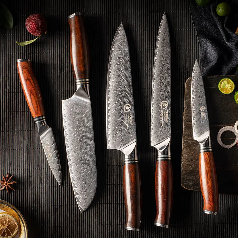 

YARENH 5 PCS Kitchen Knives Set - 73 Layers Damascus High Carbon Steel - For Cutting Meat Vegetable - Slicing Chef Knife Sets