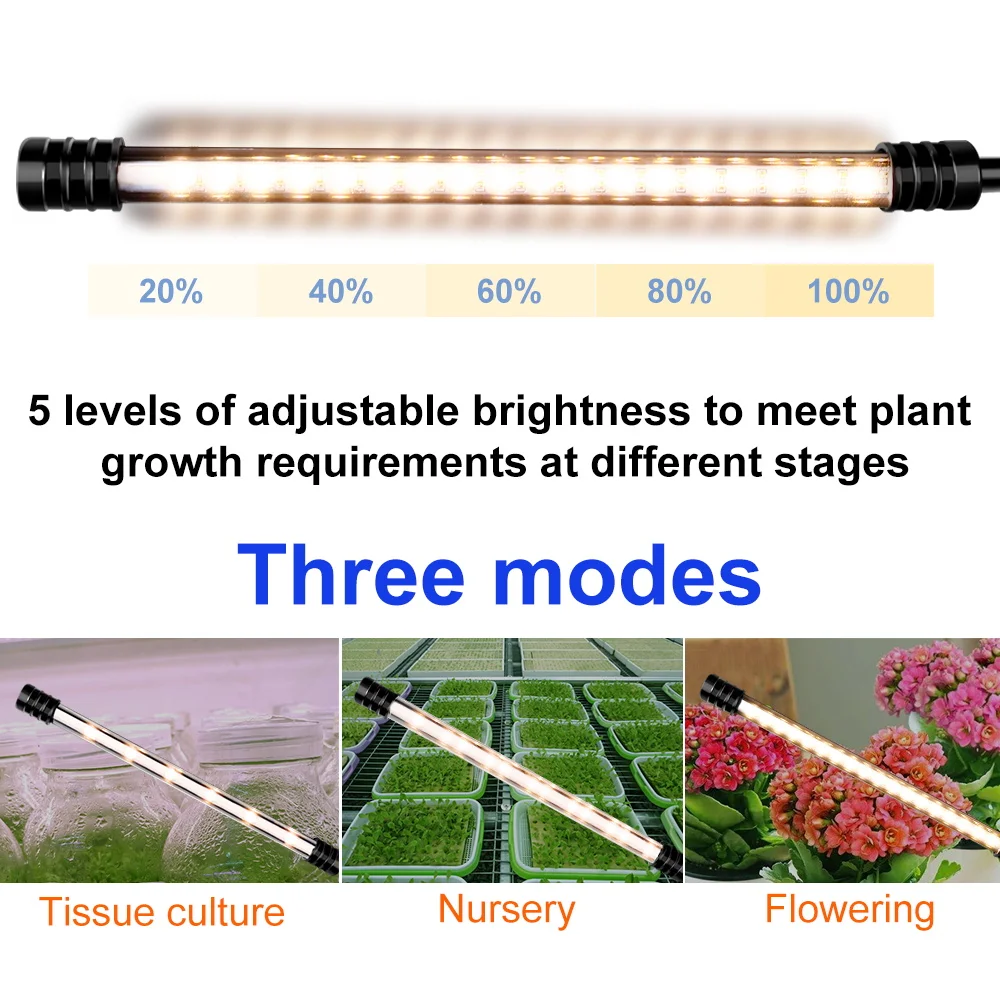 5V Phytolamp For Plants LED Grow Light USB Full Spectrum Control Plants Seedlings Flower Indoor Grow Tent Box Lamp Greenhouse