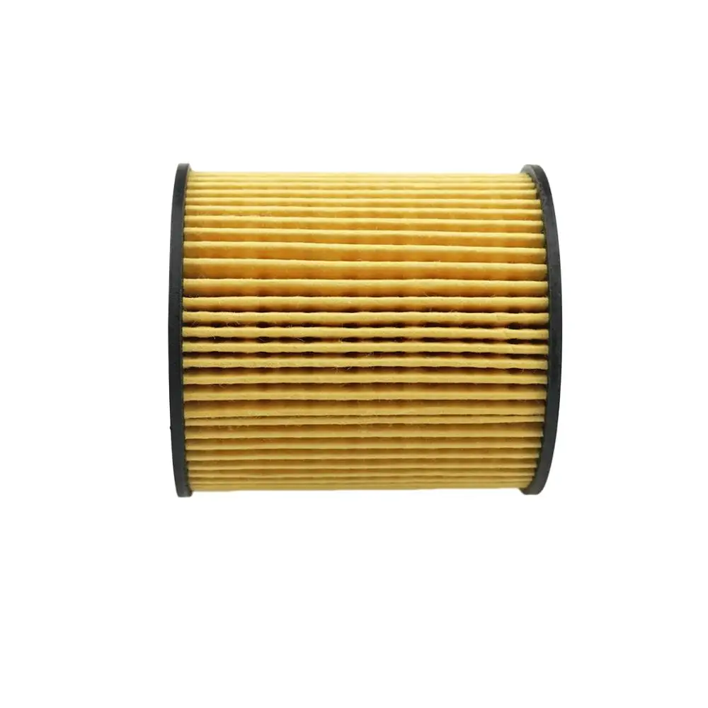 Oil Filter 1109X3 For Peugeot 207 1.6 2006-2013 206 3008 307 308 407 Citroen C4 2004-2011 C3 C5 DS3 DS4 DS5 Ford Transit 1109Z1