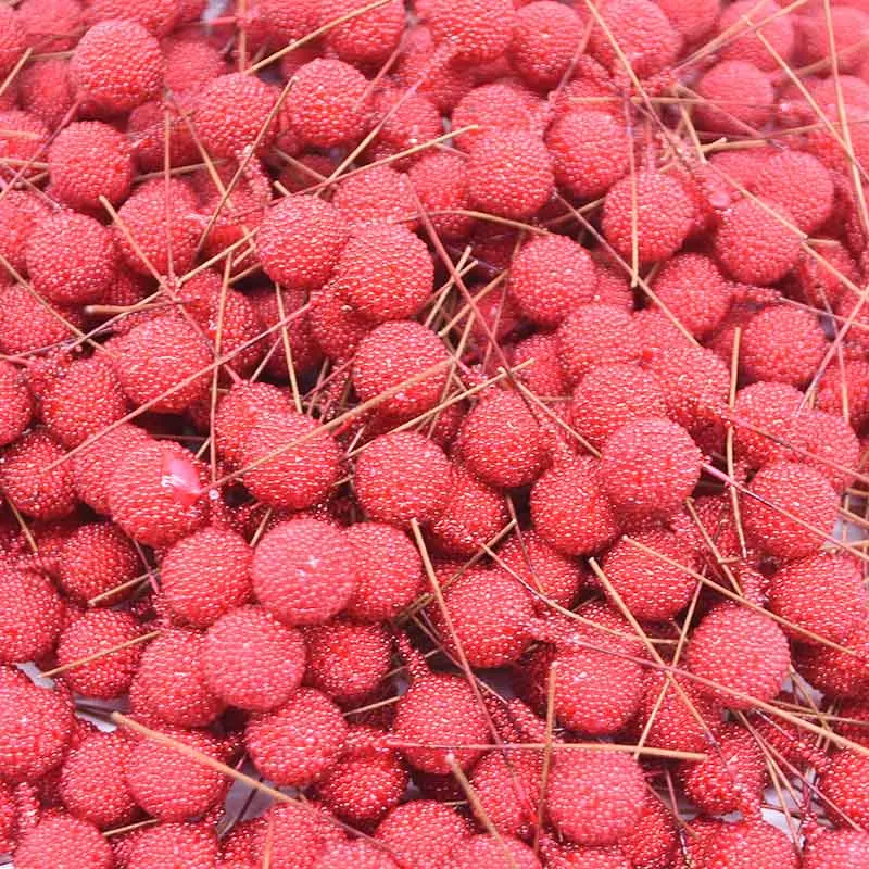 Künstliche Schaum Staubblatt Obst Berry Gold Silber Rote kirsche perlglanz staubblatt hochzeit Weihnachten decor DIY geschenk box Kränze – Detail 23
