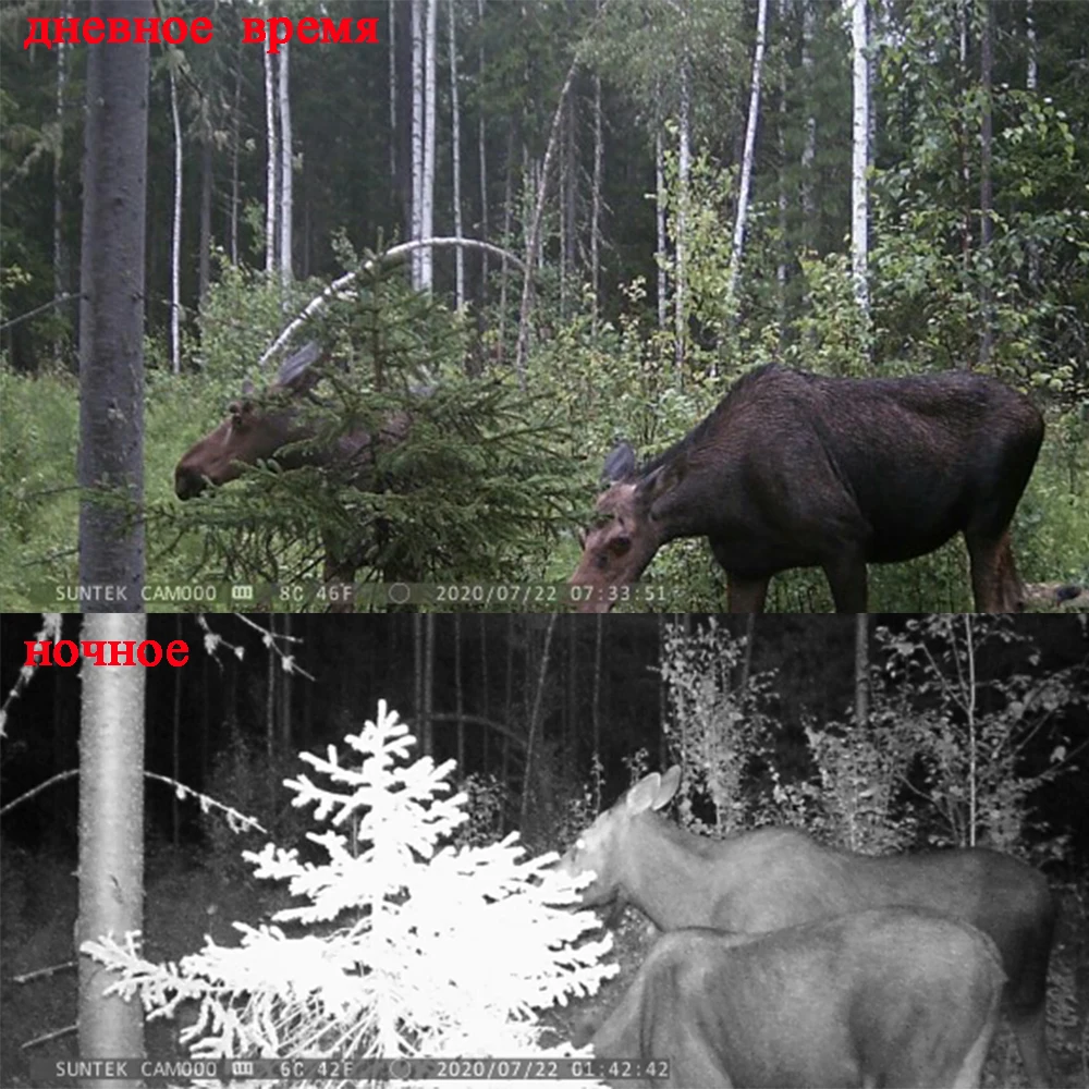 HC801 Hunting Trail Camera, Outdoor Camera, 3G, 4G, WiFi Photo Trap, Waterproof 0.3s Trigger, Night Vision, Wildlife Animal Hunt