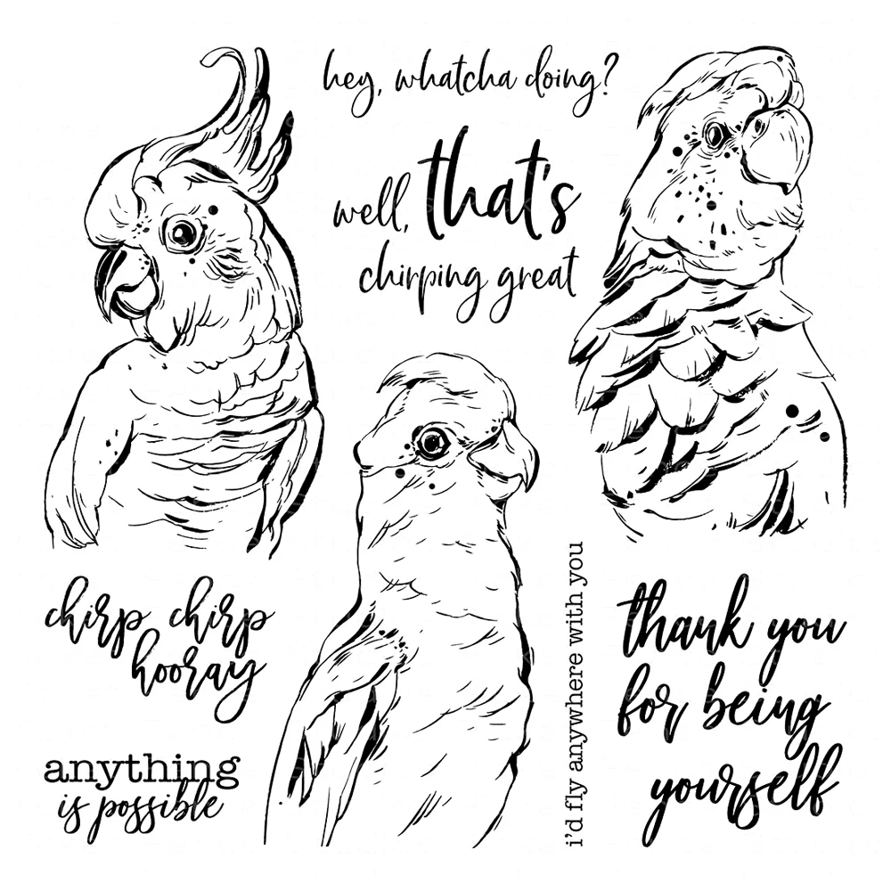 Pretty Birds Transparent Clear Silicone Stamp/Seal for DIY scrapbooking/photo album Decorative clear stamp