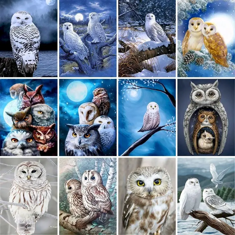 

GATYZTORY 60x75cm DIY Painting By Numbers For Adult child Owl Animals Paint By Numbers Set Gift Coloring By Numbers Unique Gift