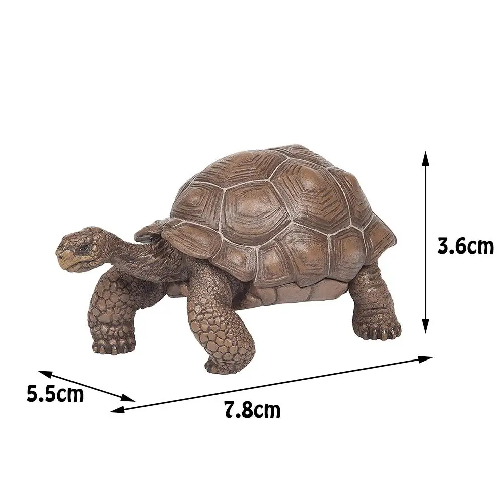 Simulation  Animal Toy Giant Tortoise Nimal Model Galapagos Tortoise Turtle Model Figure Plastic Animals Mini Figure Model Toys