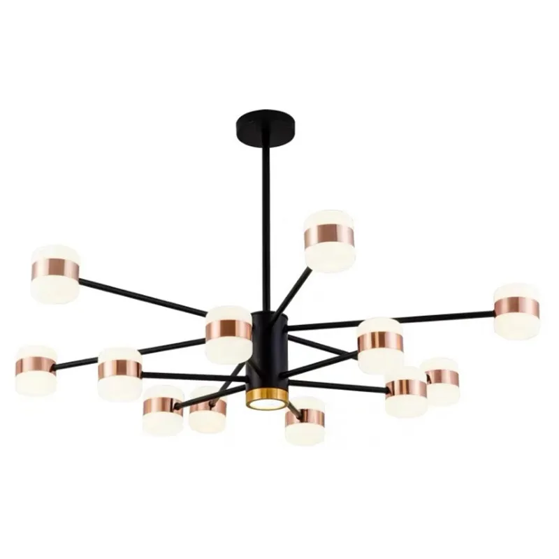 

Nordic creative chandelier modern personalized living room branch restaurant lamp dining room bedroom lighting