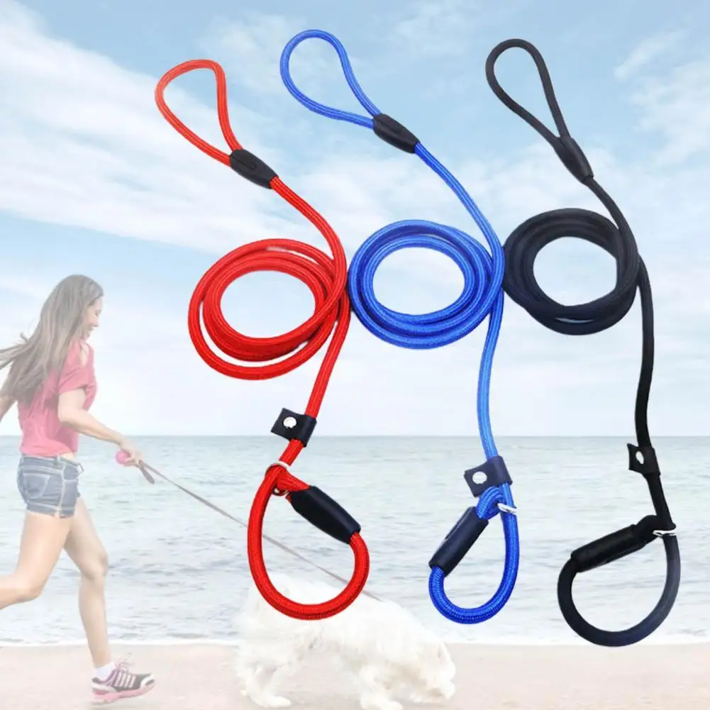 Pretty Walking Leash Good Toughness Traction Leash Fine Craftsmanship Anti-crack Walking Dog Leash Rope