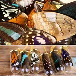 20pcs Real Butterfly Wings 3D Butterfly Specimens Wings Real Dried Mother Butterflies Wings for Ring/Earrings/Necklace