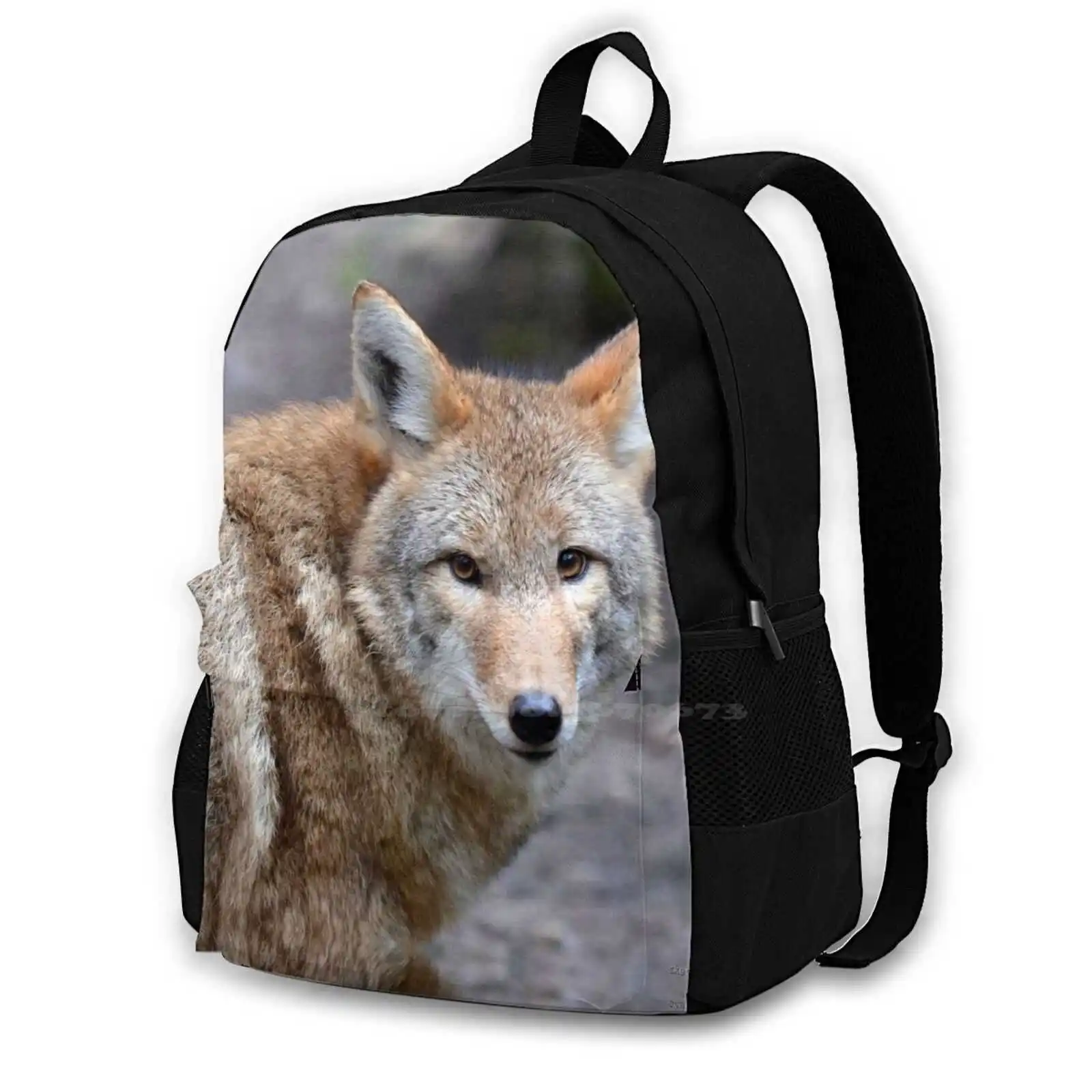 Coyote School Bags For Teenage Girls Laptop Travel Bags Coyote Northwest Animal Eyes