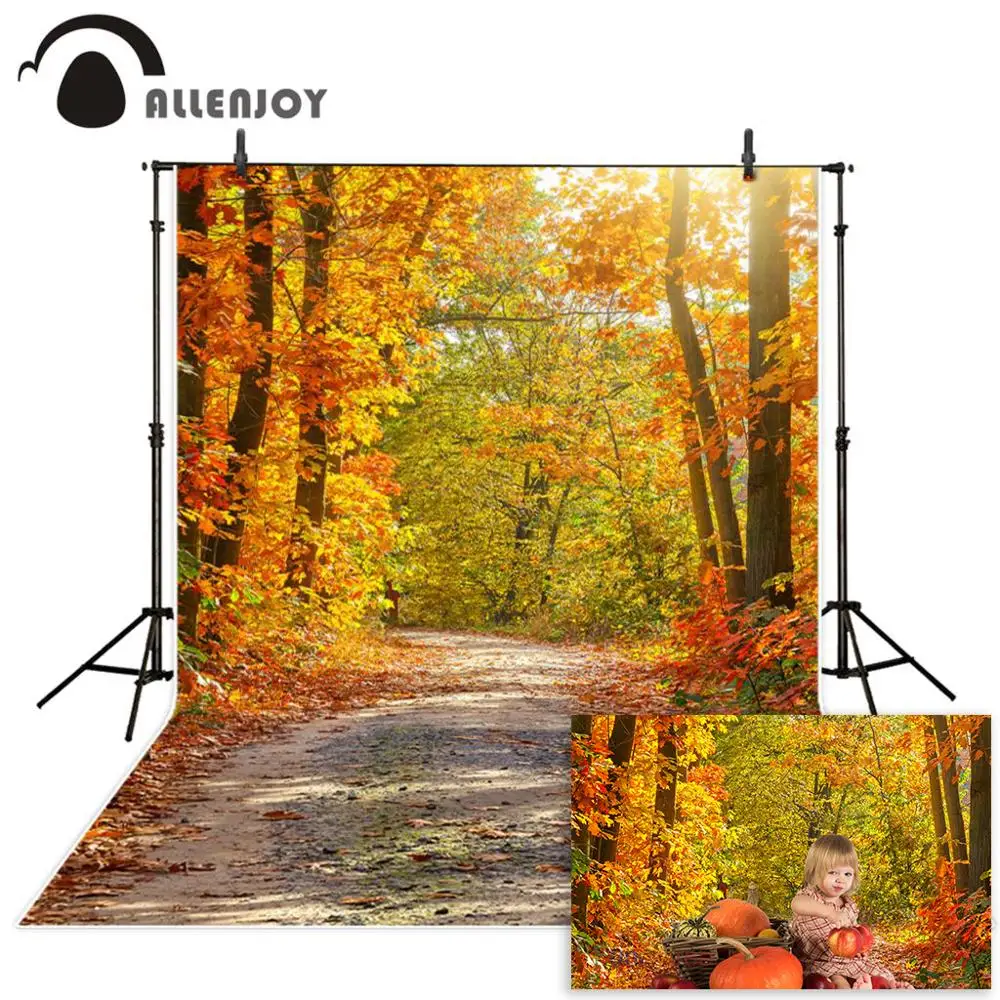 

Allenjoy photography backdrop Beautiful autumn fall leaves forest new background photocall customize photo printed