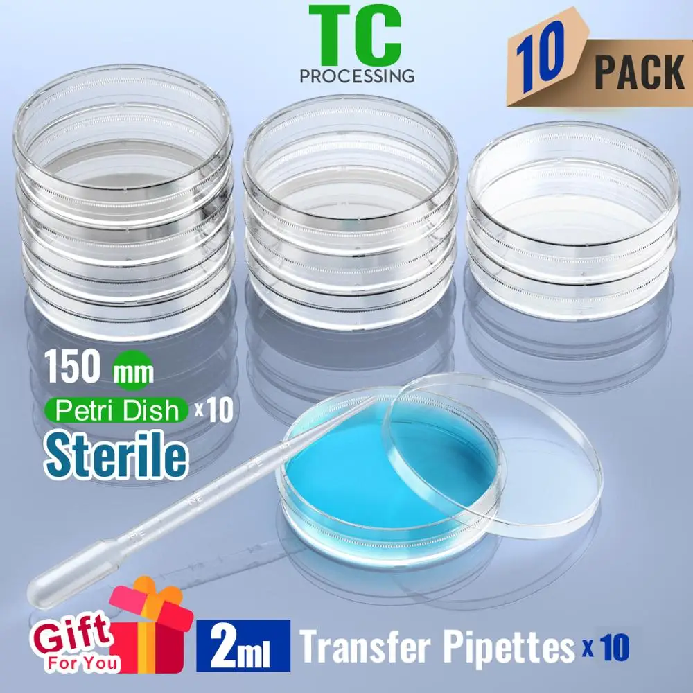 sterile Petri Dish with Lid 150mm, with 2ml Plastic Transfer Pipettes  individual package by Ks-Tek 10/Pack