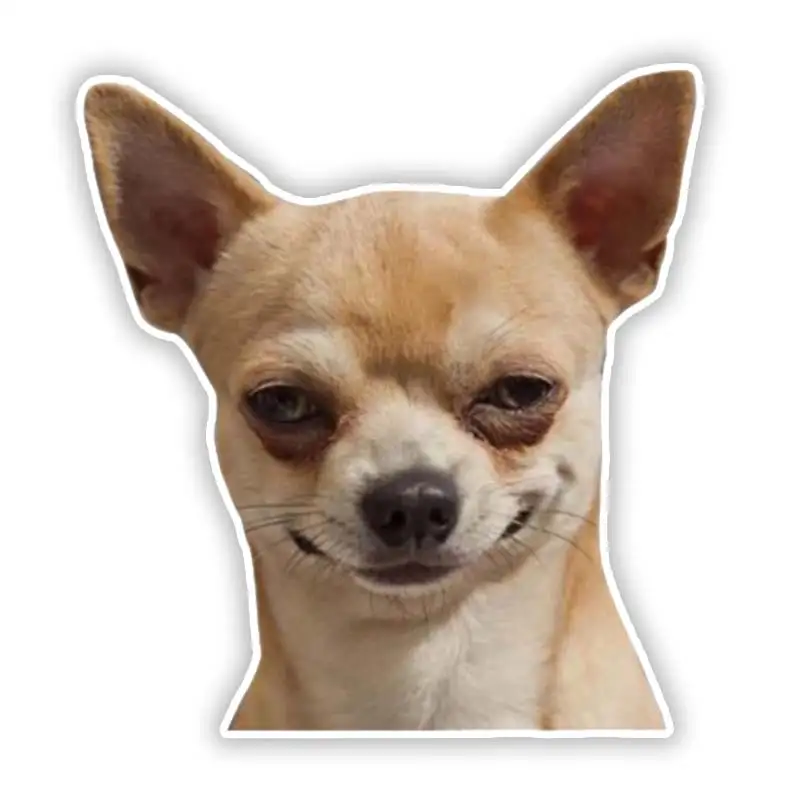 

S50437 # различные размеры индивидуальная ПВХ наклейка Чихуахуа собака водонепроницаемая автомобильная наклейка на мотоцикл ноутбук декоративная