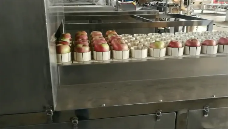 Industrial Apple Coring Cutting Machine Continuous Apple Half Cutting Machine