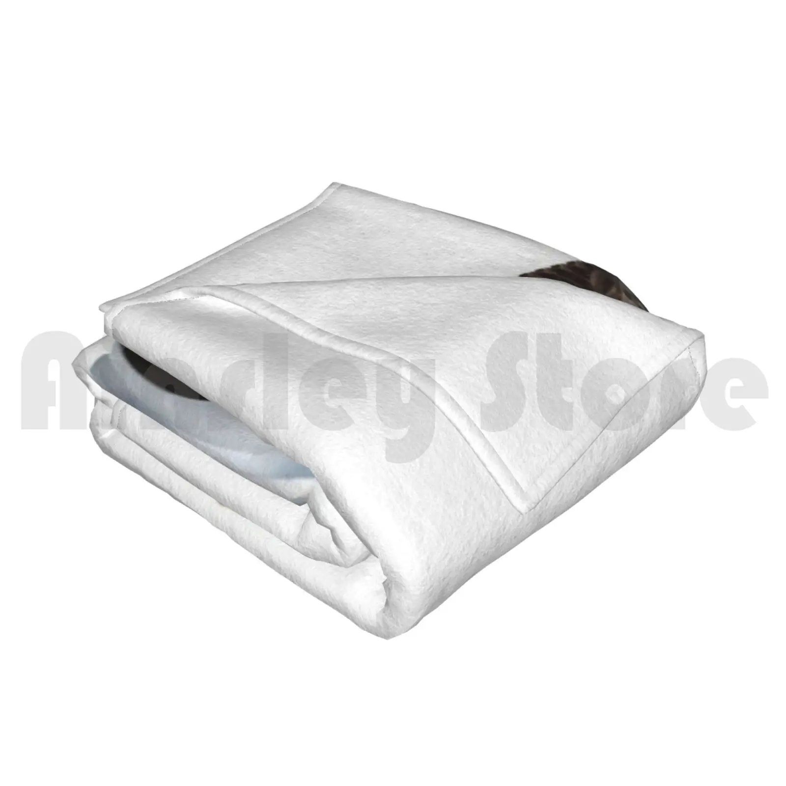 Ldrr (رابط الروبوتات لمسافات طويلة) بطانية عصرية مخصصة Ldr Robots Earth Walle Eve