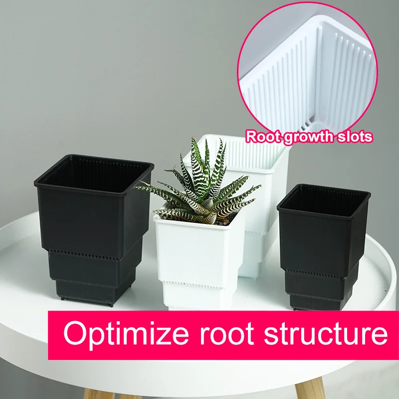 Meshpot Kunststoff Sukkulenten Topf High Saist Kaktus Pflanzer Bonsai Garten Lieferant aus gezeichnete Drainage und atmungsaktive Pflanzen Topf – Detail 4