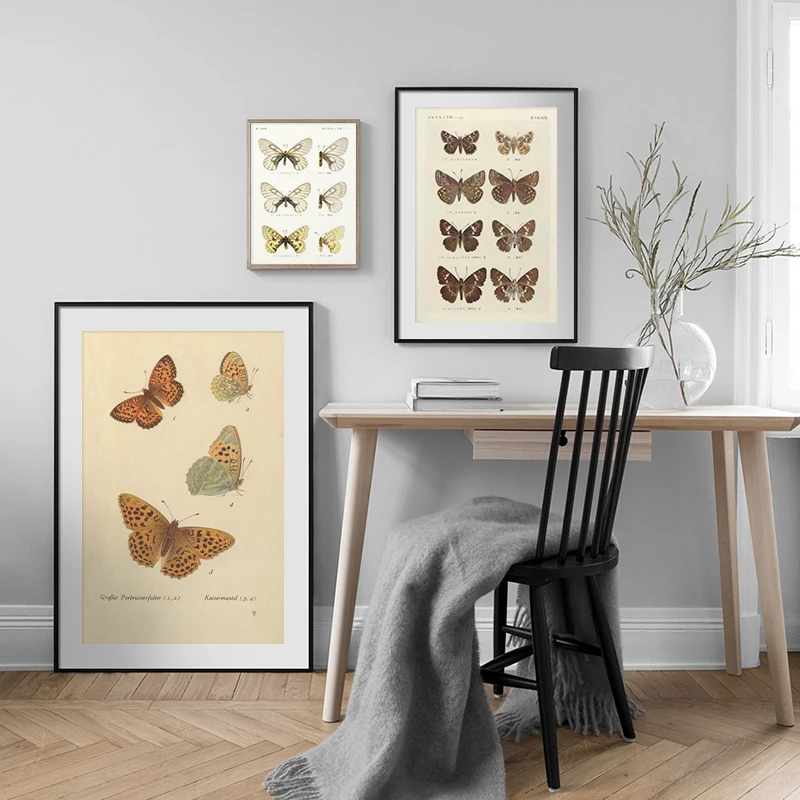 Butterfly Insect Vintage Poster Papillons Print Canvas Painting Biology Education Wall Art Picture Modern Study Room Decoration