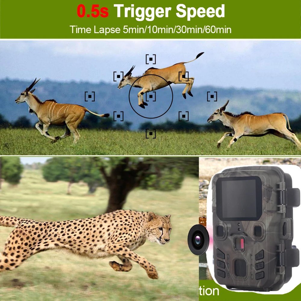 20MP 1080P Kabellose Wildkamera mit Nachtsicht Mini301 für Jagd, Outdoor, Wildtierbeobachtung und Überwachung – Detail 4