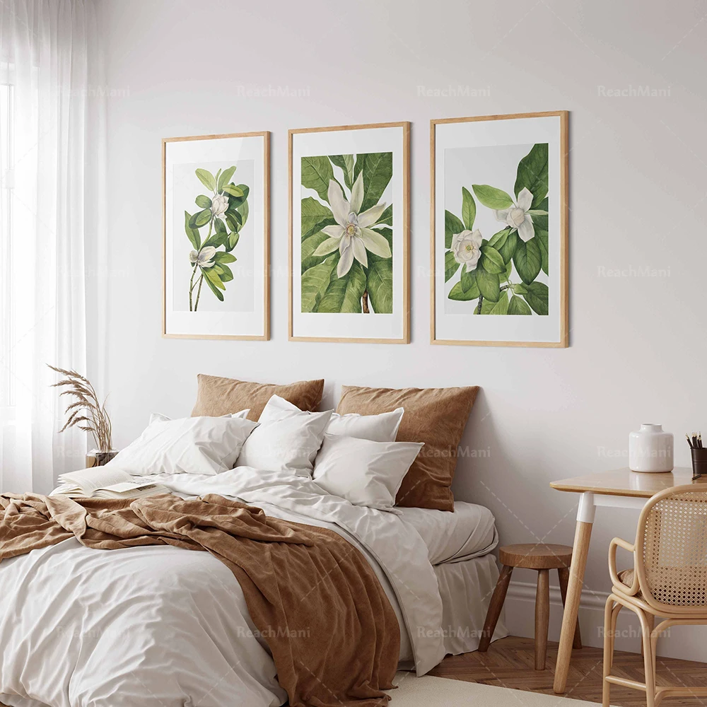 Magnolia Wall Art Plant Prints, White Magnolia Flower Prints Floral Plant Decoration Canvas Canvas Wall Exclusive Poster