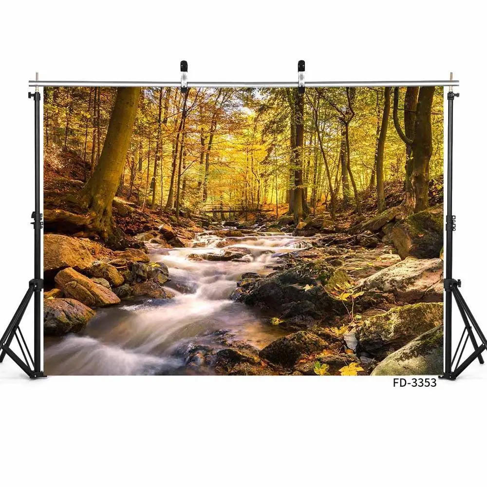Autumn Forest Stream vinile panno fotografia sfondi ritratto fondali fotografici Studio fotografico Photobooth Camera Photo