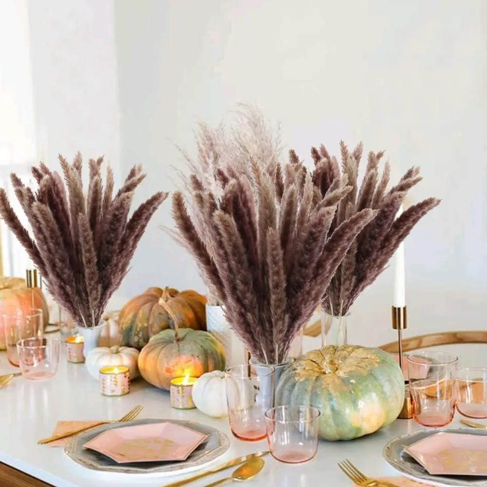 Naturelles Bouquet Decor 30pcs Bulrush Natural Pampas Grass Dried Reed Flower Communis Phragmites Backdrops Dekoration Sechees