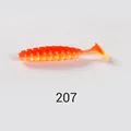 NW207