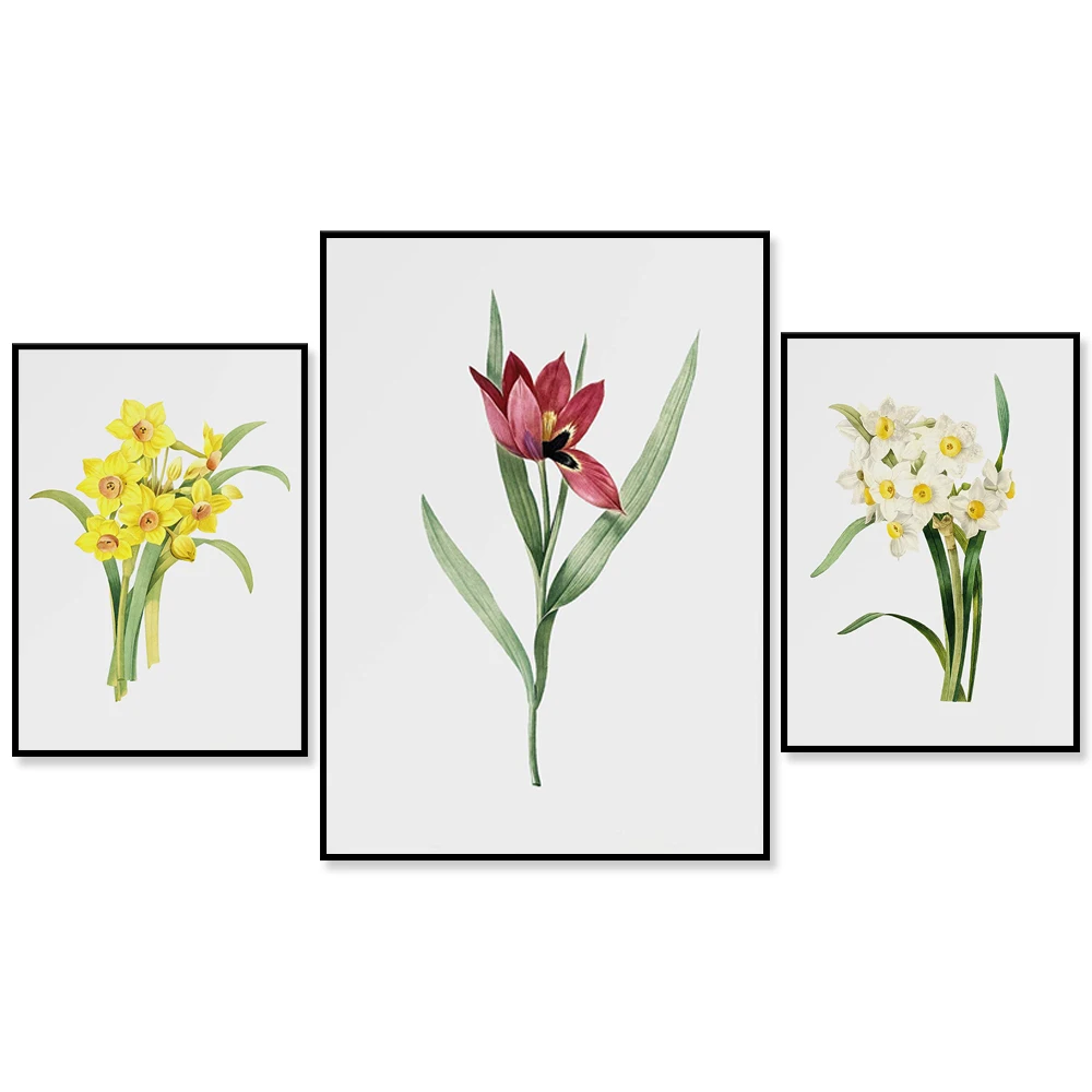 Retro Plant Tulip Wall Art Print Instant Download Minimalist Flower Poster