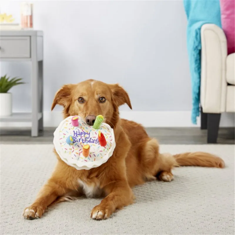 Pet Dog Toy Cute Birthday Cake Squeaky Toys Bite Resistant Bone Shape Stuffed Toy Cat Puppy Chew Toy Interactive Dog Accessories