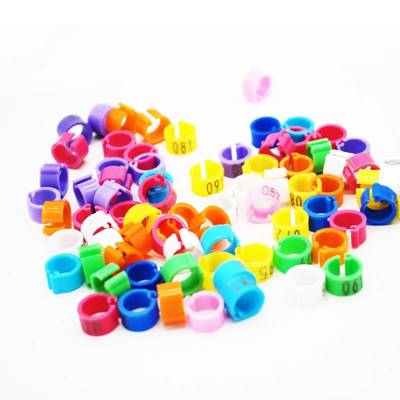 100 Pcs 8mm Identify Ring Carrier Pigeon Training Supplies Leg Number Bird Bands