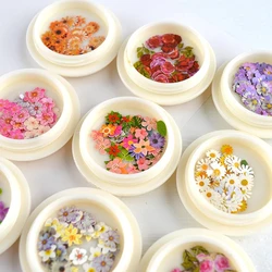 50Pcs/Bottle Wood Pulp Flower Sequins DIY Epoxy Mould Filling Nail Art Color Mixed Dried Flower Patch Jewelry Accessories Crafts
